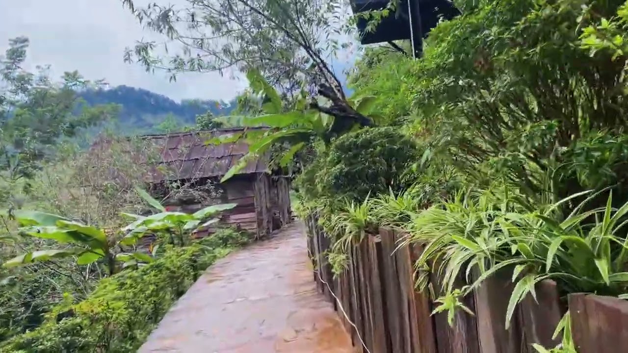 Explore the Peaceful and Fresh Tourist Spot 🌿📸