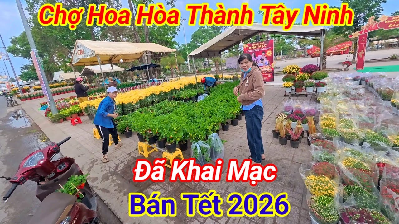 Đã Khai Mạc Chợ Hoa Hòa Xuân Thành Tây Ninh Tết 2026 