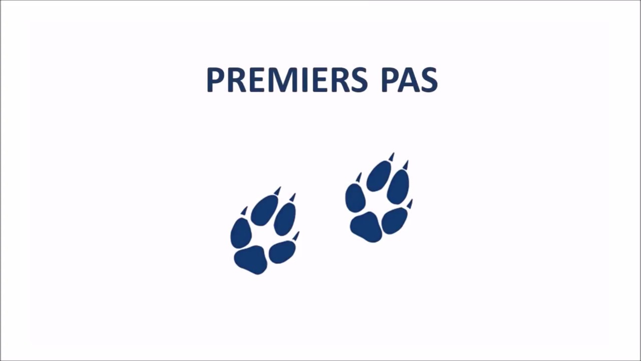 MetalFox - Premiers pas