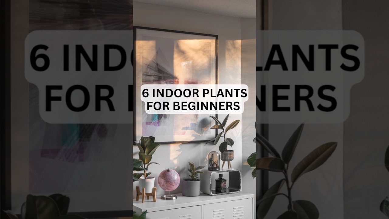 6 Indoor Plants for Beginners | #shorts #indoorplants