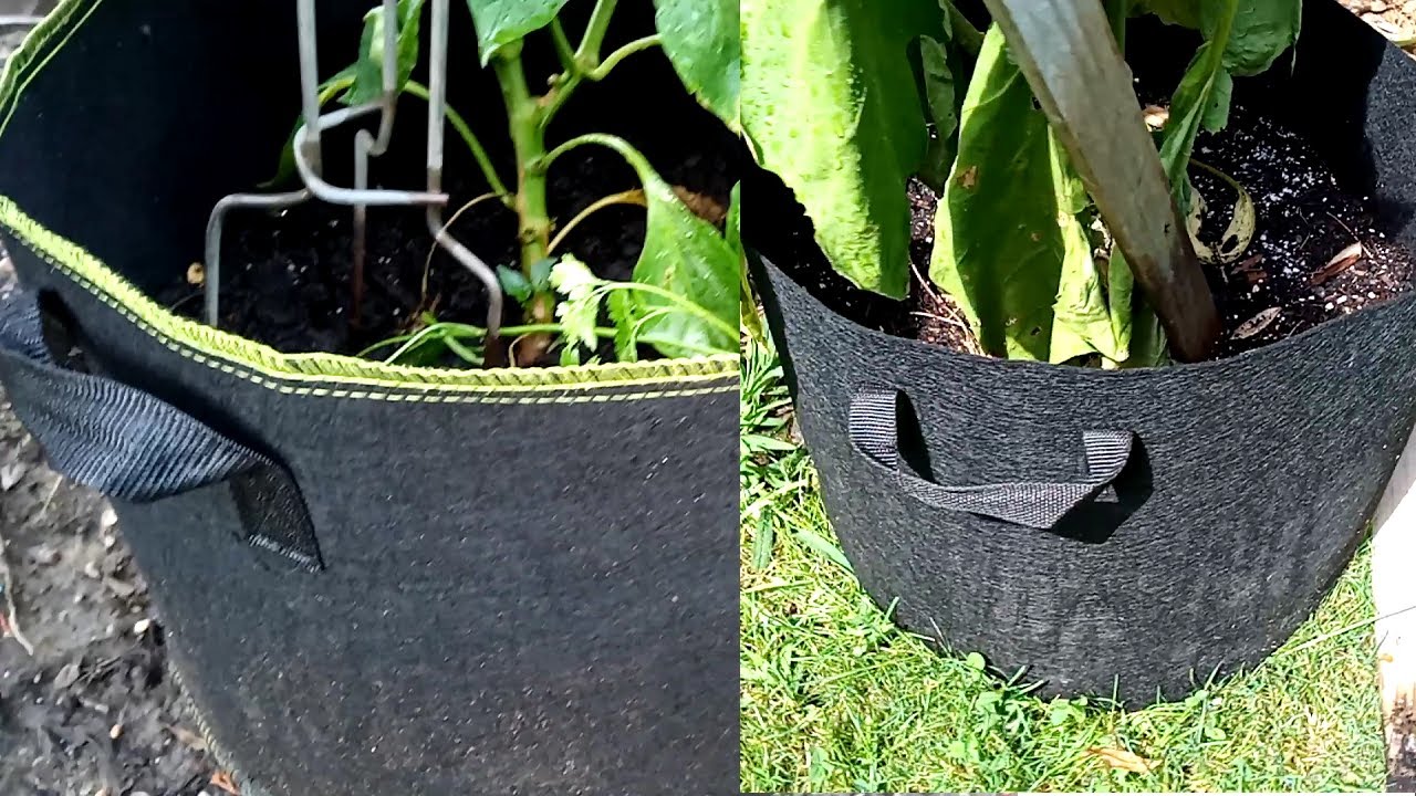 VIVOSUN Grow Bag vs. DELXO Grow Bag: In-depth Review- is VIVOSUN worth 2x the price?