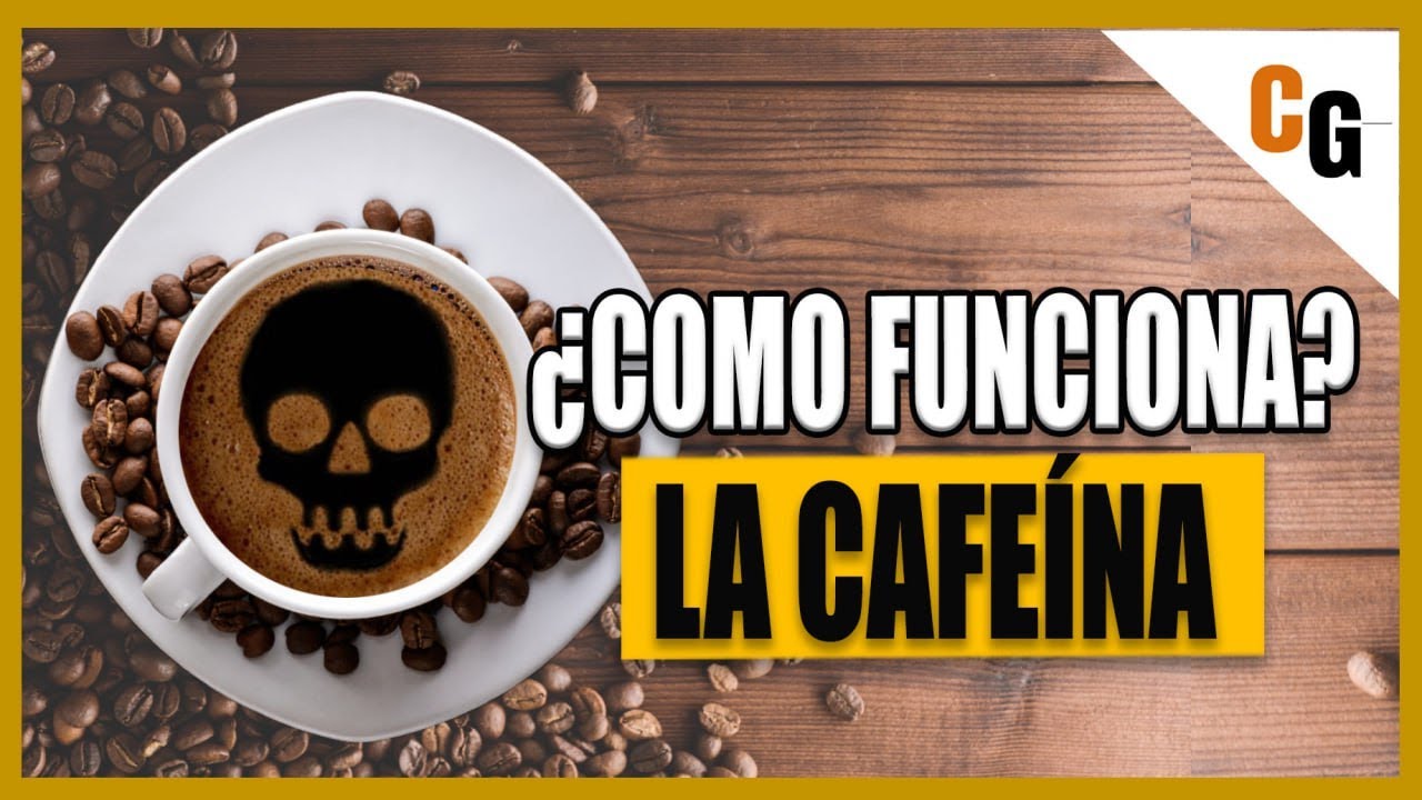 CAFE&Iacute;NA - &iquest;C&oacute;mo Funciona y c&oacute;mo MATA? - Efectos Fisiol&oacute;gicos y Toxicolog&iacute;a de las Metilxantinas