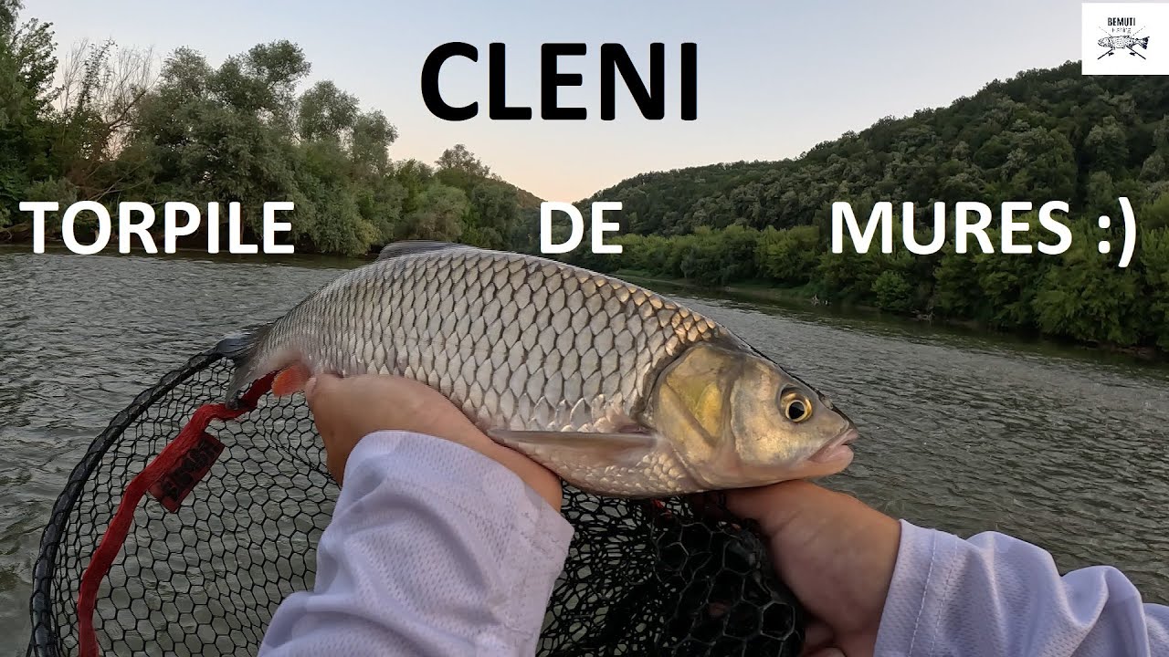 🎣 CLENI!!! Torpile de Mureș!!! Spinning la clean🎣
