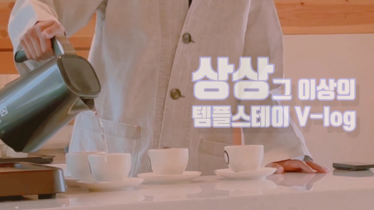 INFP 범상치 않은 도심 사찰 템플스테이 : 수국사편 | vlog