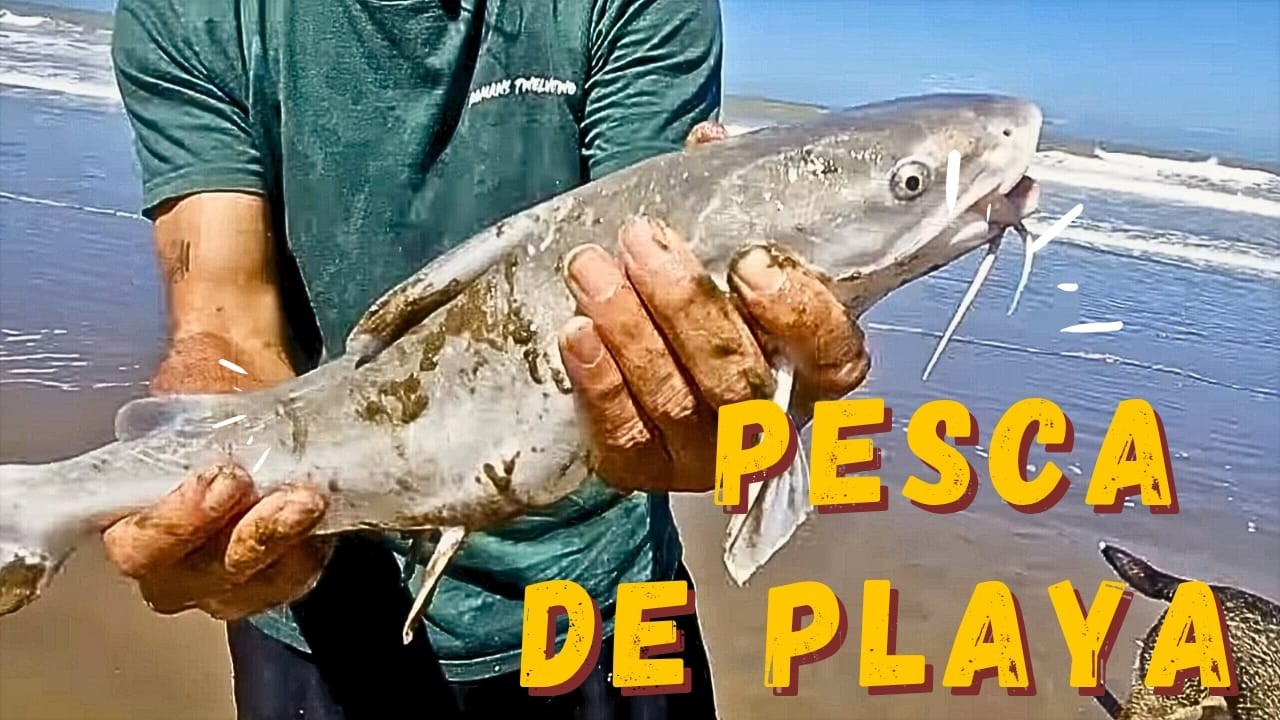 Aventura de dos dias. Pesca. Roncadoras. Pejerrey. Bagres. Lobo Marino y lechuzas!!!