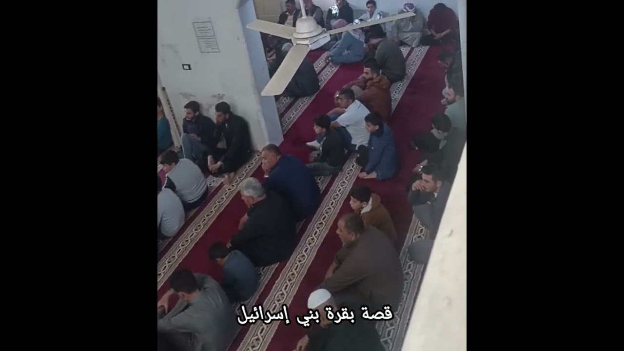 قصة بقرة بني إسرائيل 