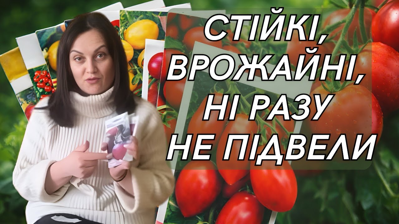 ТОП 3 найкращих гібридів томатів які варто вирощувати. + 2 нових сорти 🍅 цього сезону.