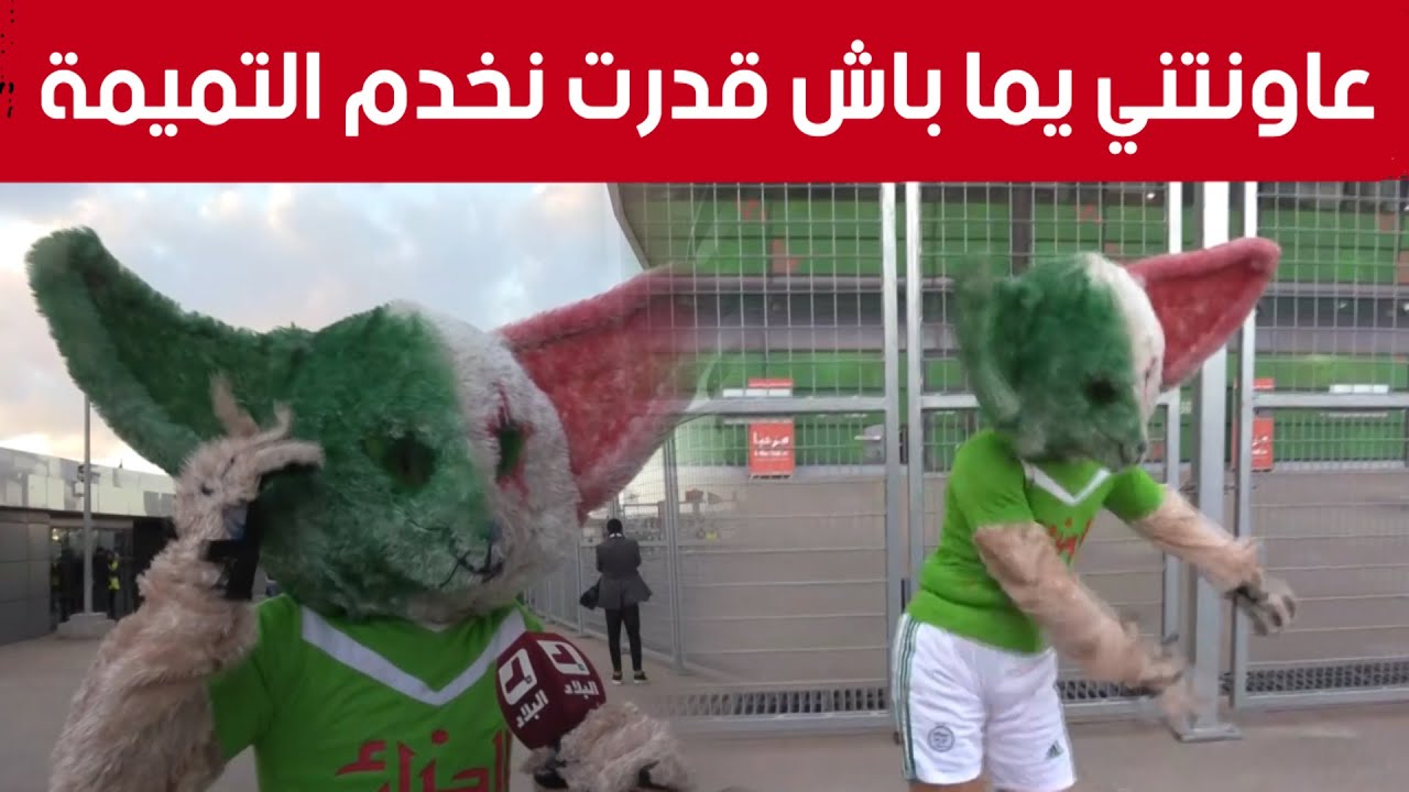 مناصر يصنع الحدث بزي تميمة الشان بملعب نيلسون مانديلا قبل مباراة الخضر.. شاهدوا