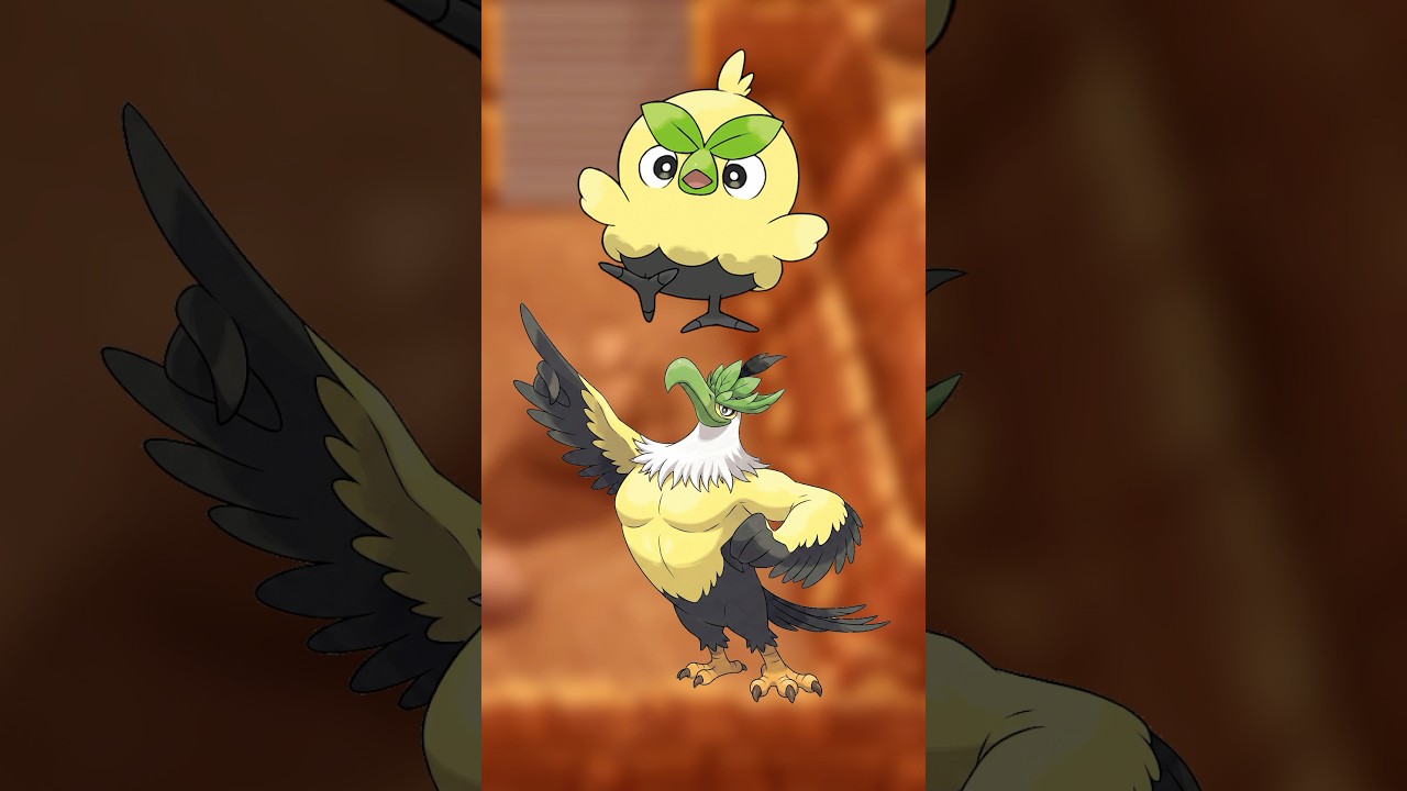 Browt Evolution Confirmed? Pokemon Gen 10 Starters #pokemon