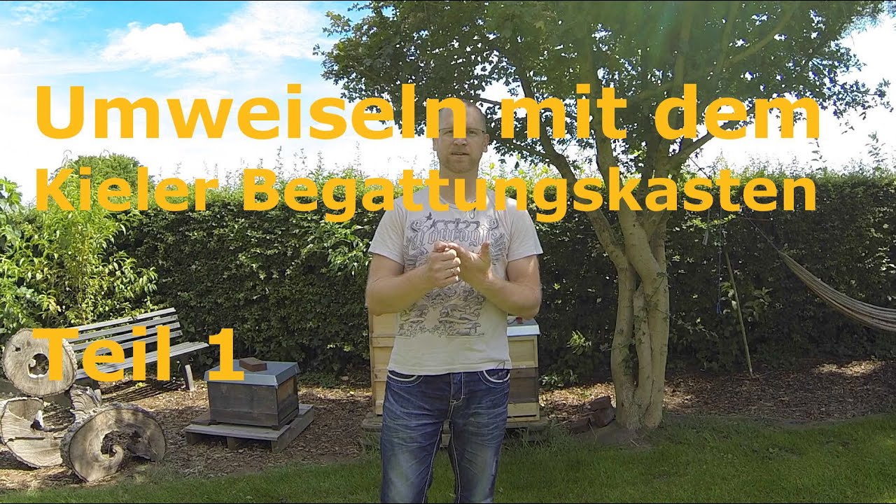Königin umweiseln mit Kieler Begattungskästchen - Teil 1