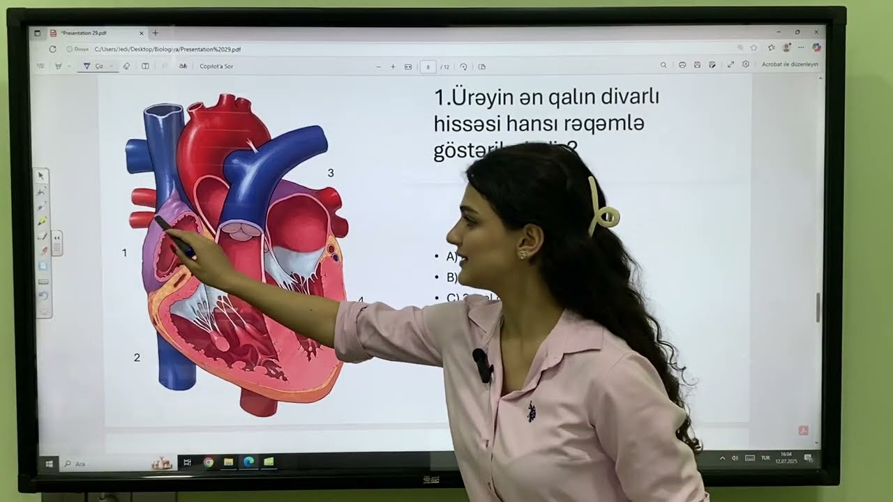 Ürəyin quruluşu və ürək tsikli mövzusunun sadə və vizual izahı #biologiya #ürəktsikli