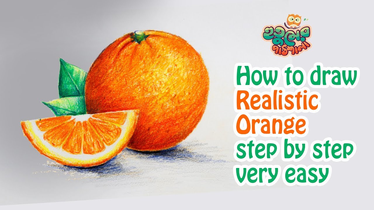 Orange drawing | realistic orange drawing