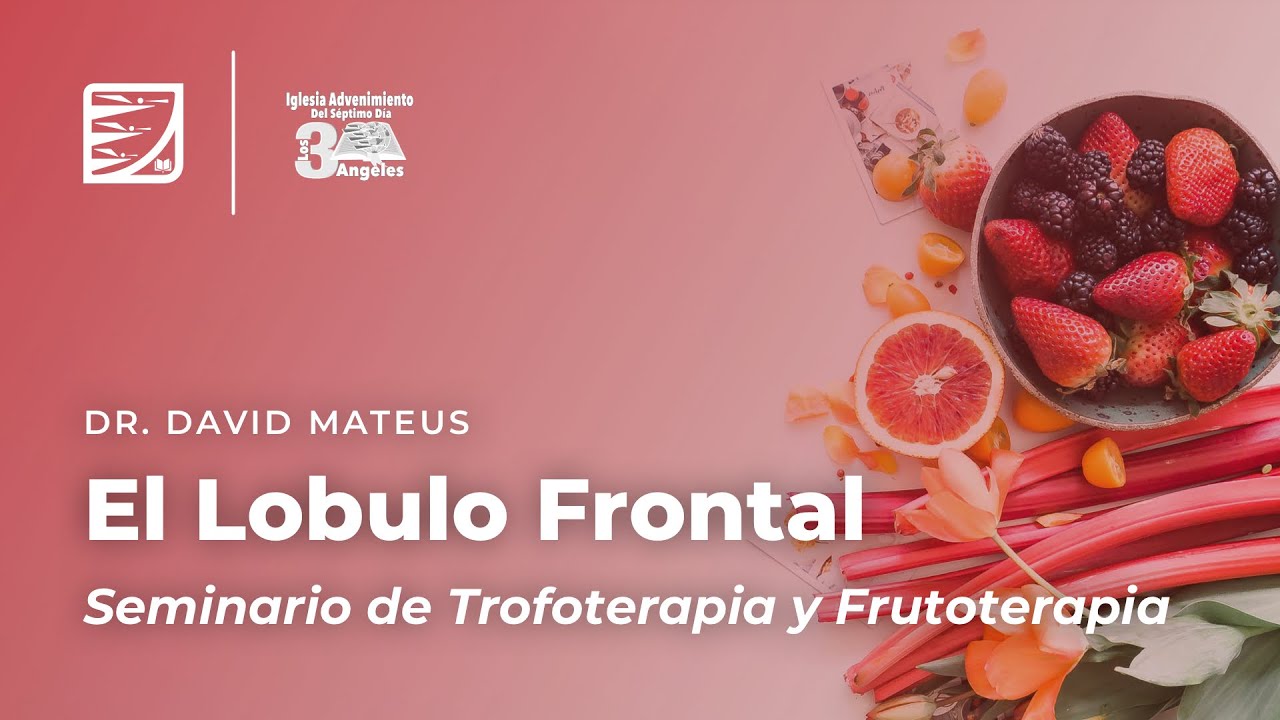 El Lobulo Frontal | Dr. David Mateus