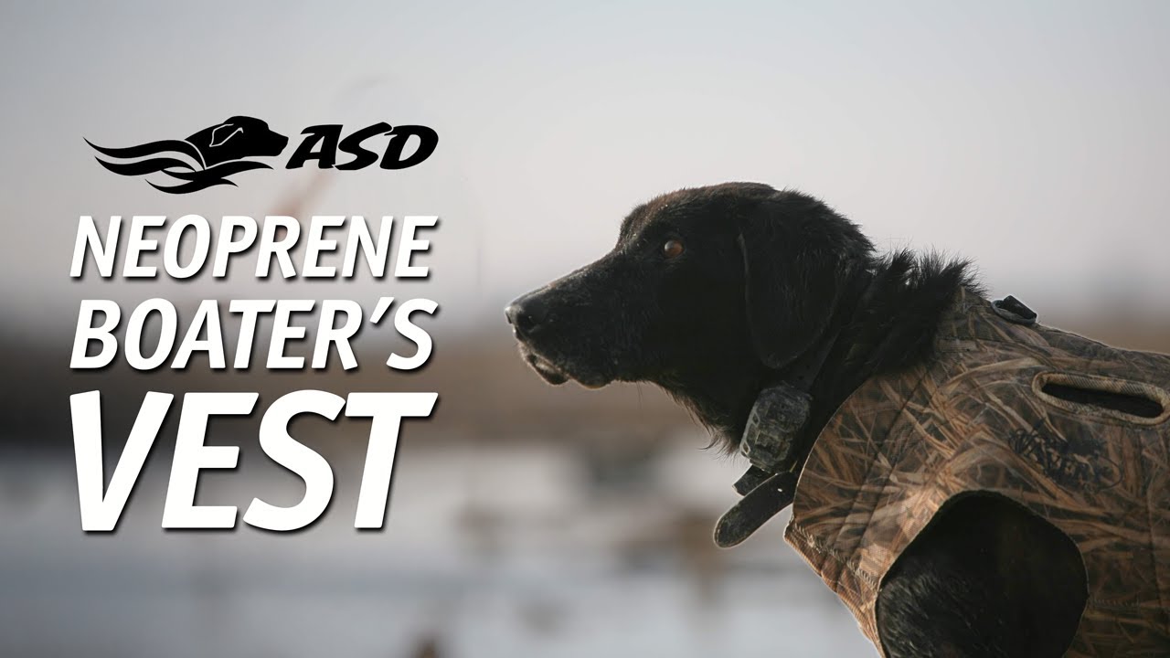 Keep Your Dog Warm, Safe & Working Hard with the Avery Neoprene Boater's Vest