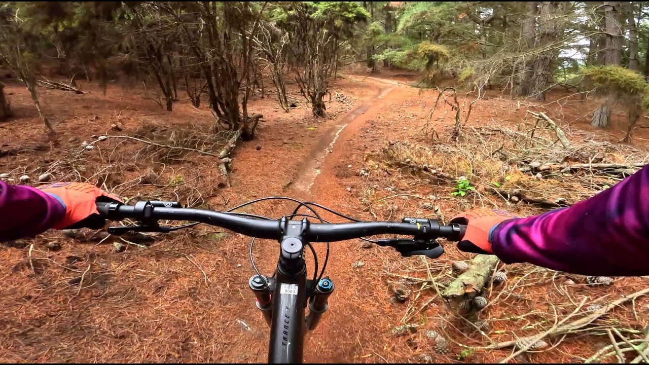 Deans Bank Track | Mountain Biking Wanaka, New Zealand