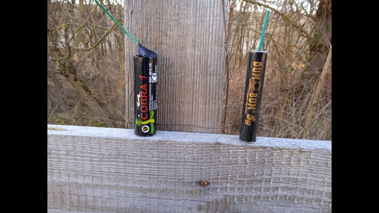 Cobra 1 vs Dum Bum 5g