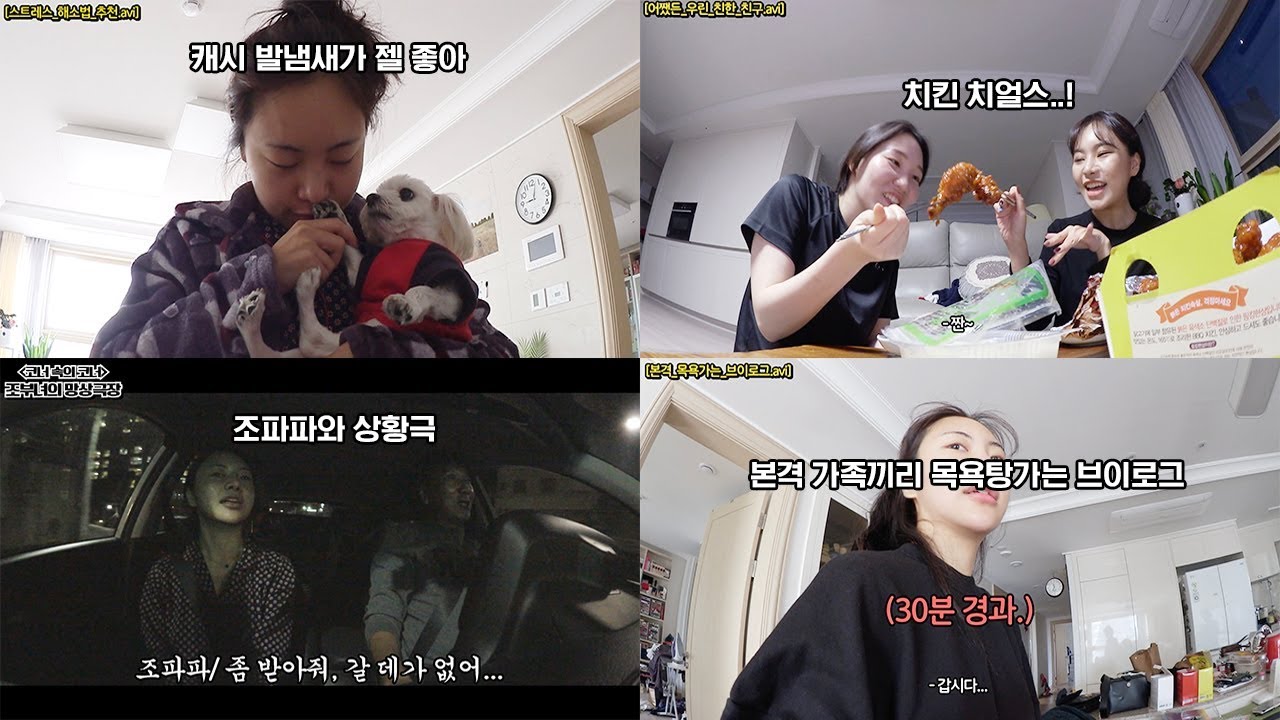 #조효진_브이로그🌵 :: 우울한친구와 드라이브 그리고 취준생 공감얘기, 올리브영 쇼핑, 가족들이랑 목욕탕,  파파와 상황극 그리고 뒹굴뒹굴