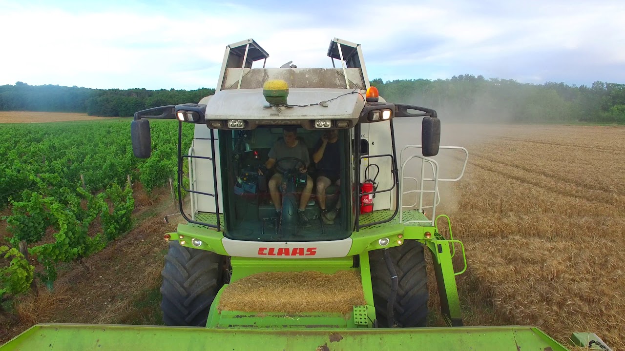 Moisson 2020 4k