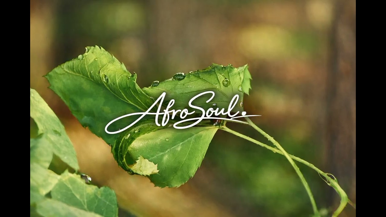 Plant of growth...(Smooth Afro-soul fusion)
