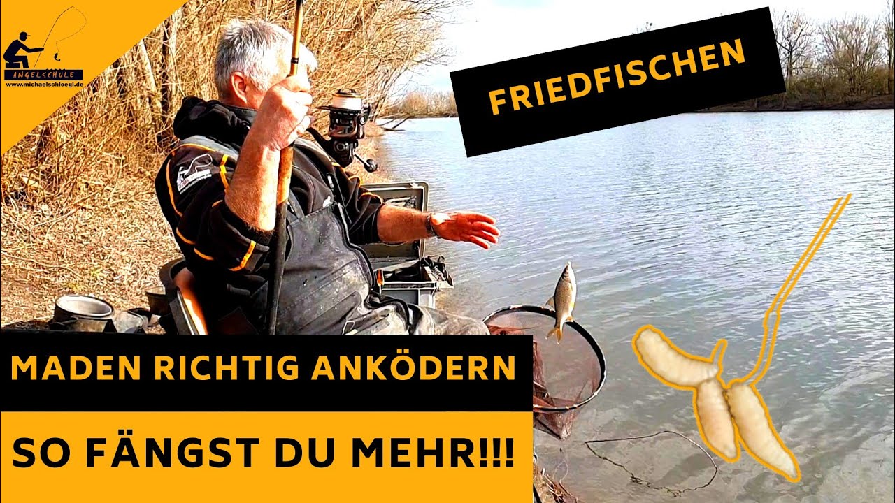 SO ködere ich meine MADEN an - MEINE Lieblingsvarianten