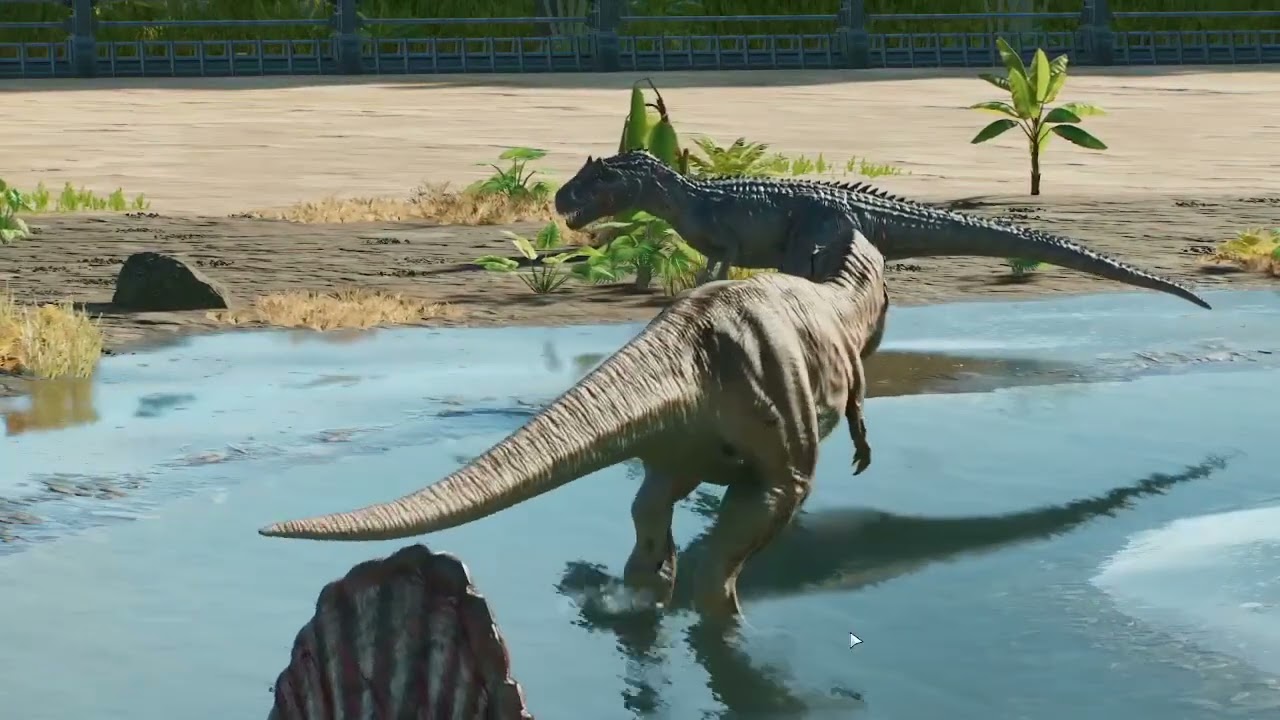 (Jurassic World Evolution 3 Gameplay) Every Dinosaurs Fights From JWPB
