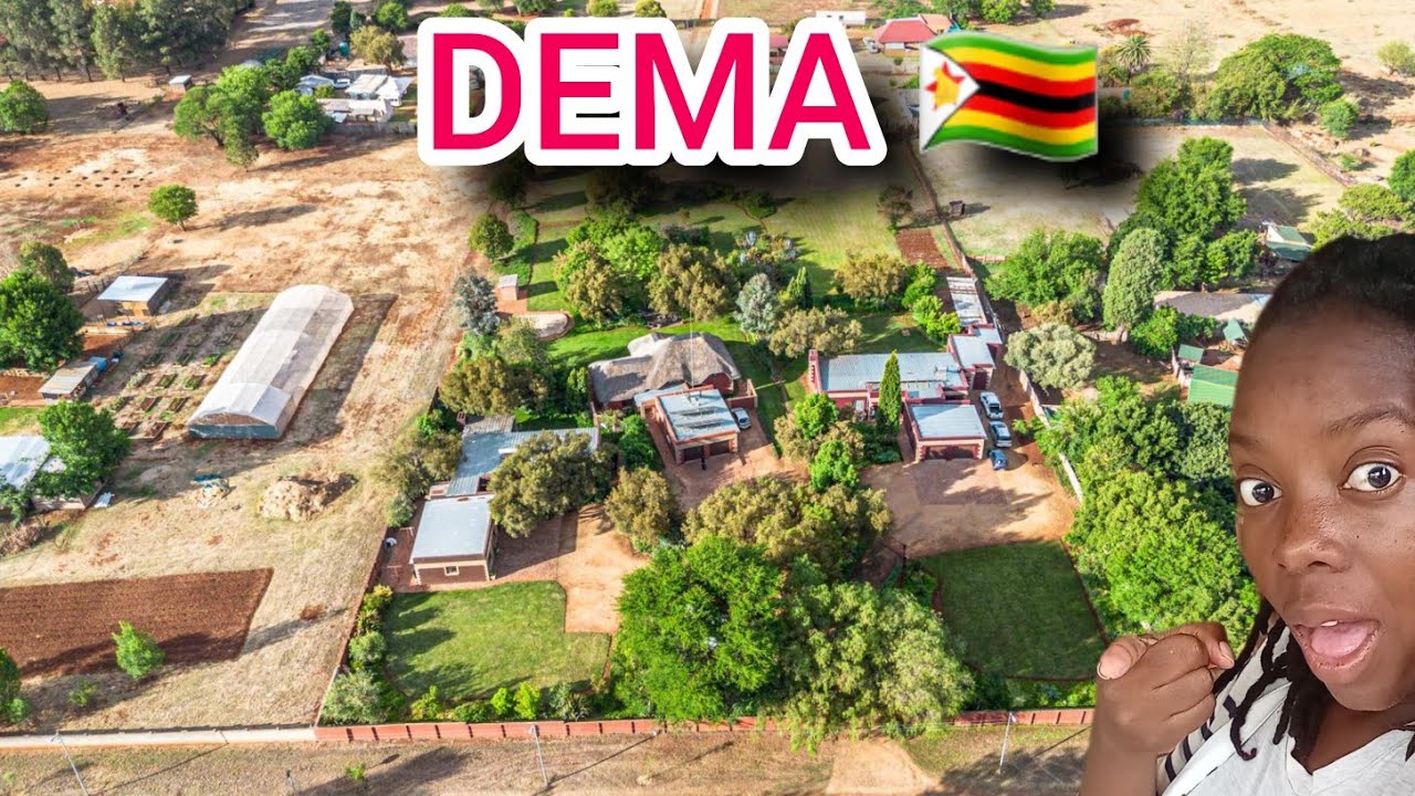 The Future of Zimbabwe’s Growth Lies in Rural Areas – Here’s Why Dema Is Leading the Way