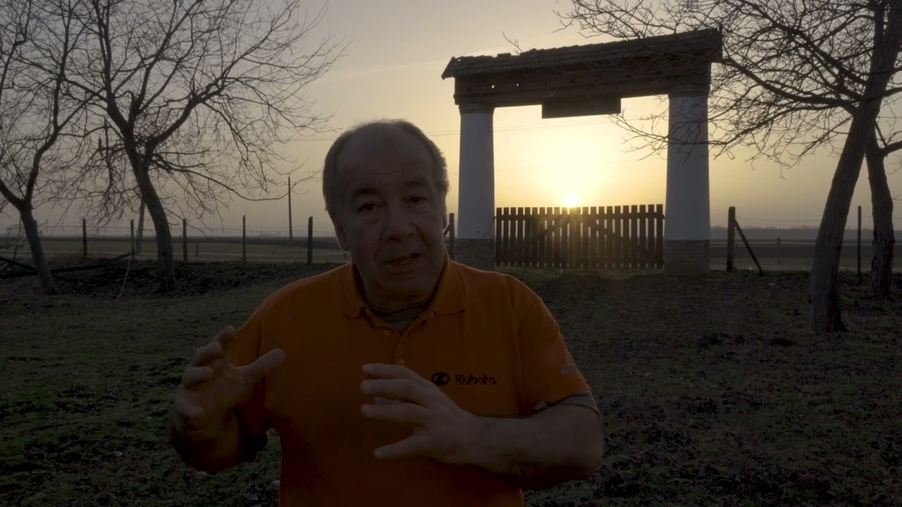 A galambdúc