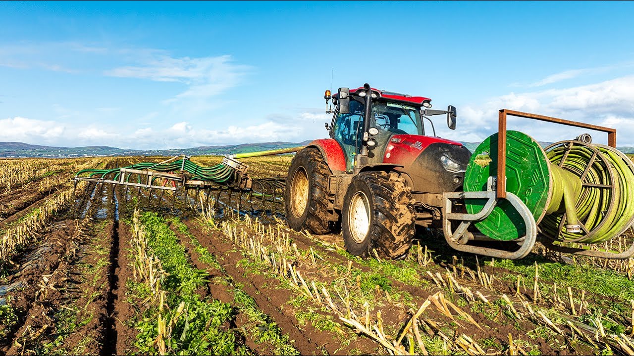 Case Puma 175  CVX & 12m AgQuip Dribble Bar | Maize Stubble slurry Spreading