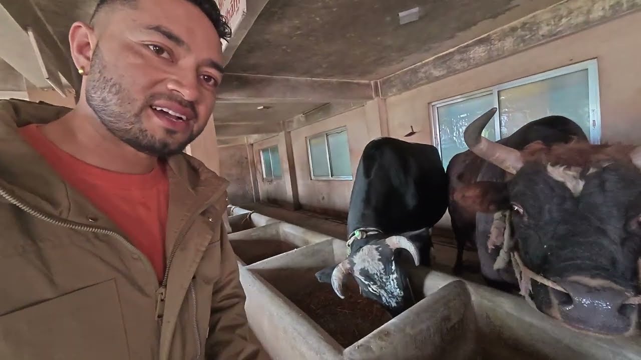  Aaja Hami ISKON Pugeu || EKDAM SANTA MANDIR || आनन्दित हुने ठाँउ