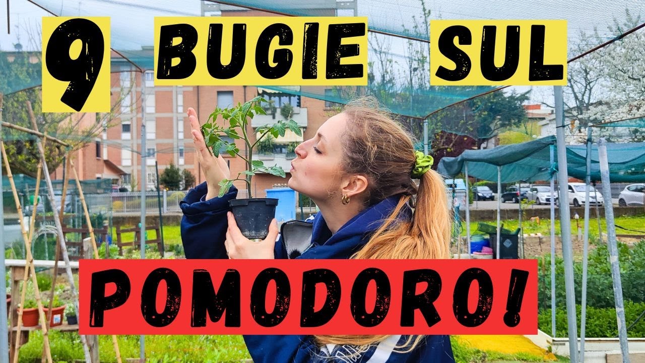 POMODORI: Verità o Bufale? Sfatiamo 9 FALSI MITI!