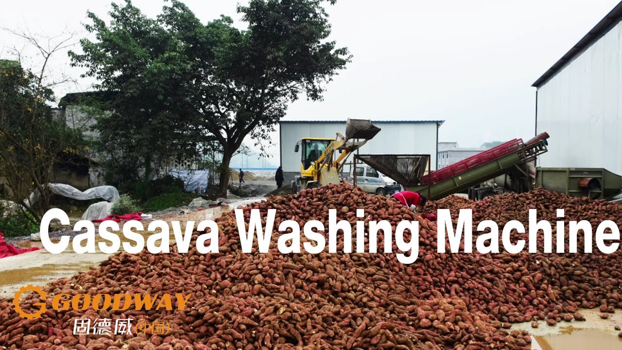 Cassava Washing Machine Cassava Washer