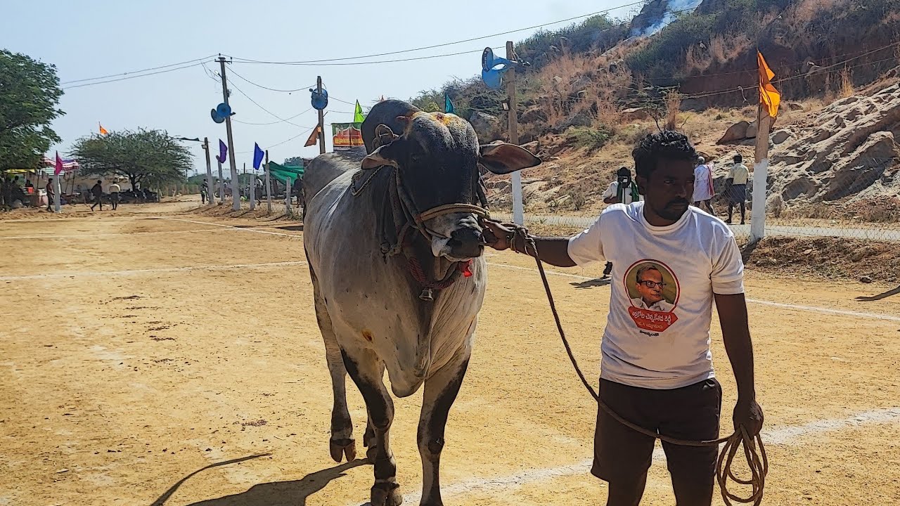 న్యూ కేటగిరి విభాగంలో 1వ జత