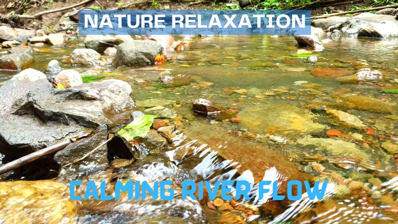 Relaxing River Sounds | Peaceful Forest River | Nature Video | 4K 2160p