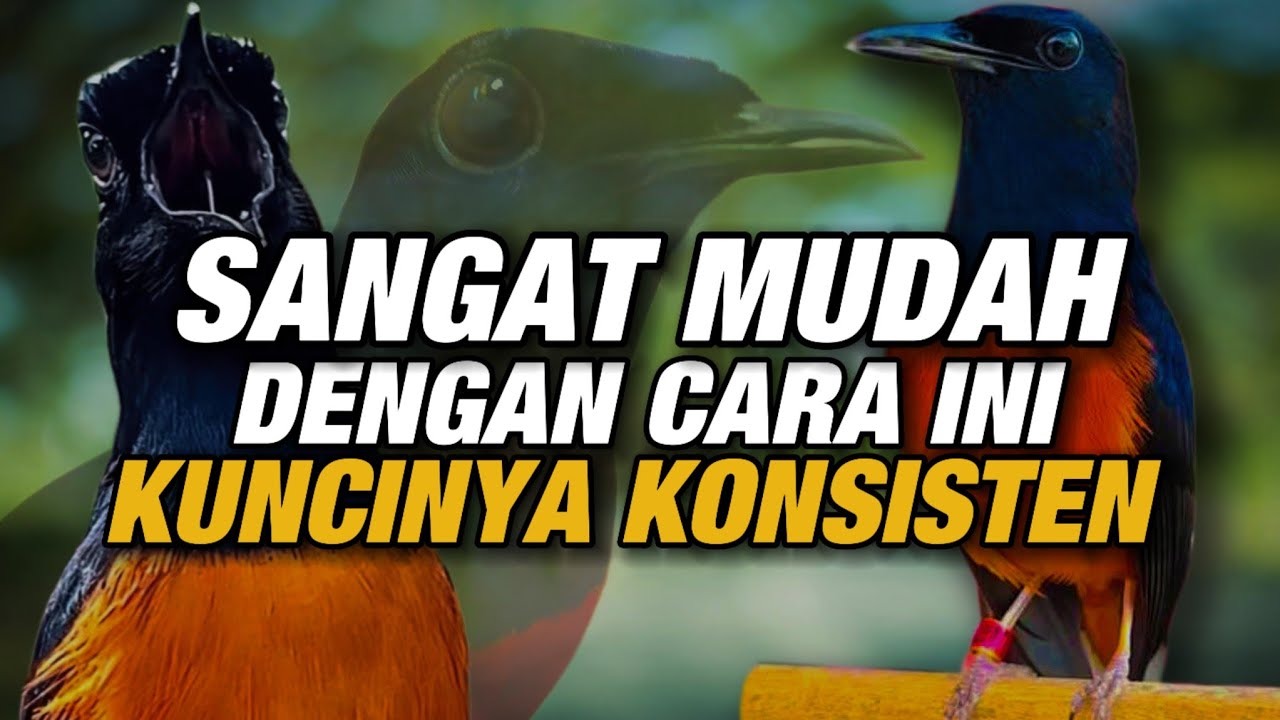 Уделите минутку‼️ и поймите, что ваша птица отличается от других.