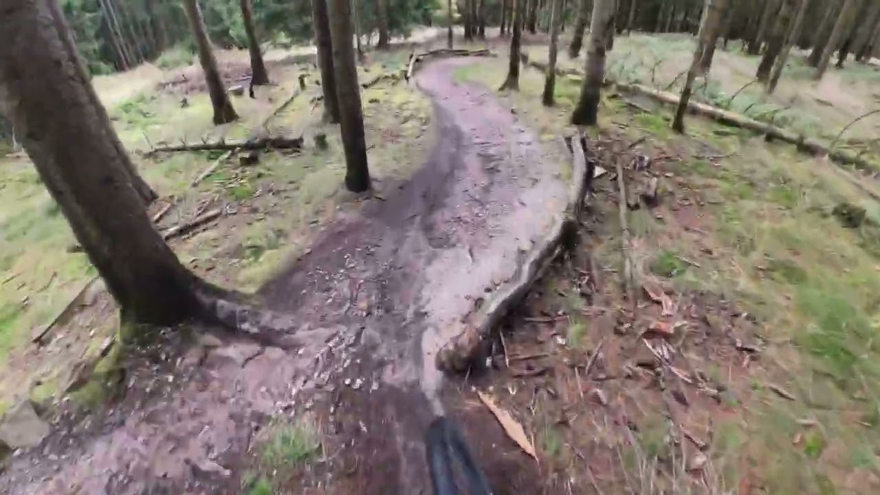 MTB Flowtrail Feldberg slow on wet 2025