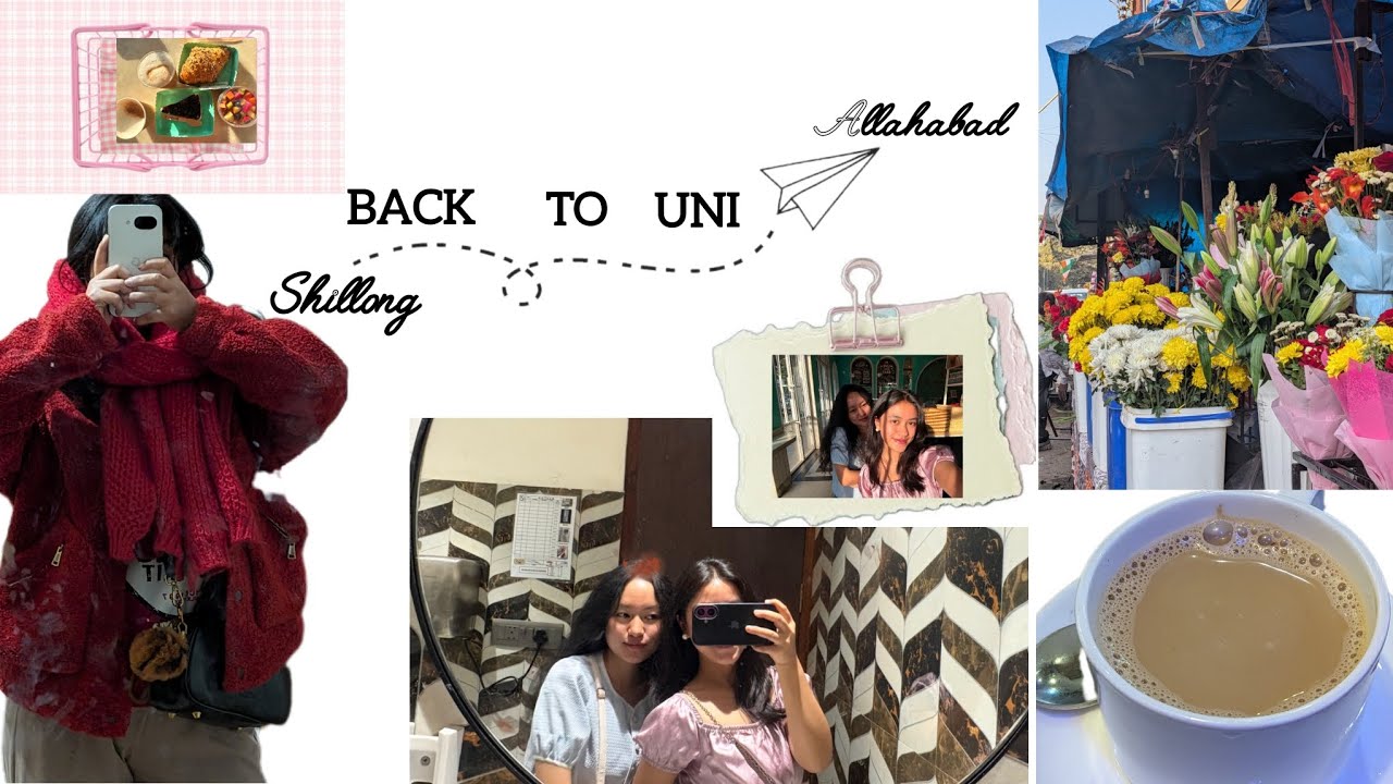 The daily chronicles: grocery,dayout & cafe