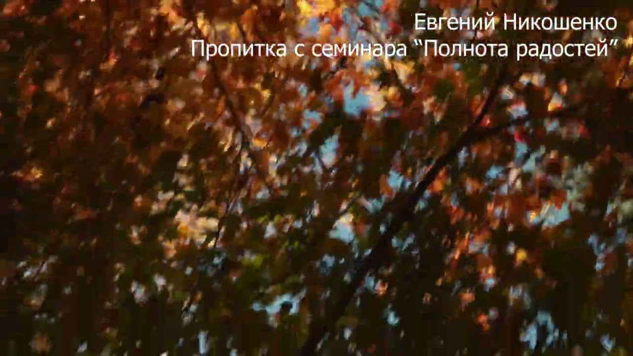 Молитвенная пропитка 9 - Евгений Никошенко (с семинара 