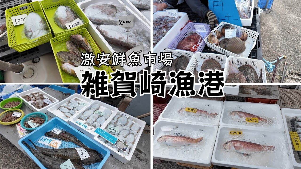 【激安】最新版 世界一安い？和歌山県雑賀崎漁港で旬の魚を購入してみた。#雑賀崎漁港#激安#世界一