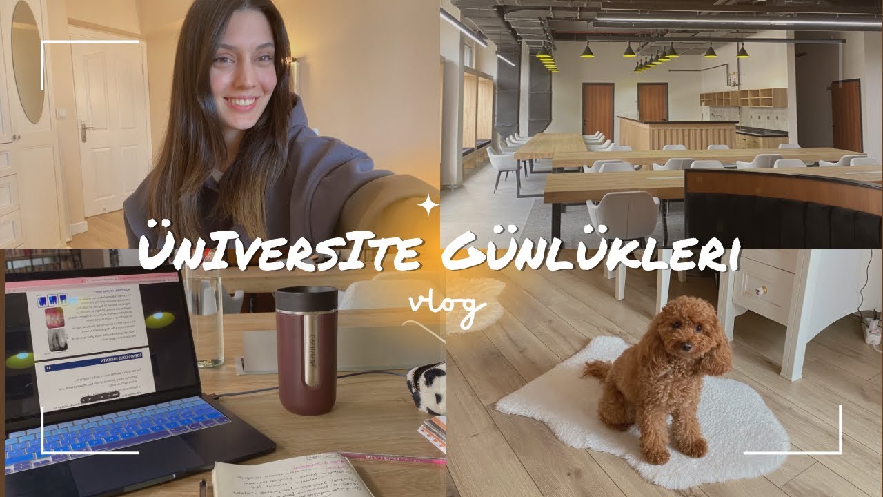 Vlog ♡ Dersler, Sohbet, Üzüntüyle Başa Çıkmak l Üniversite Günlükleri