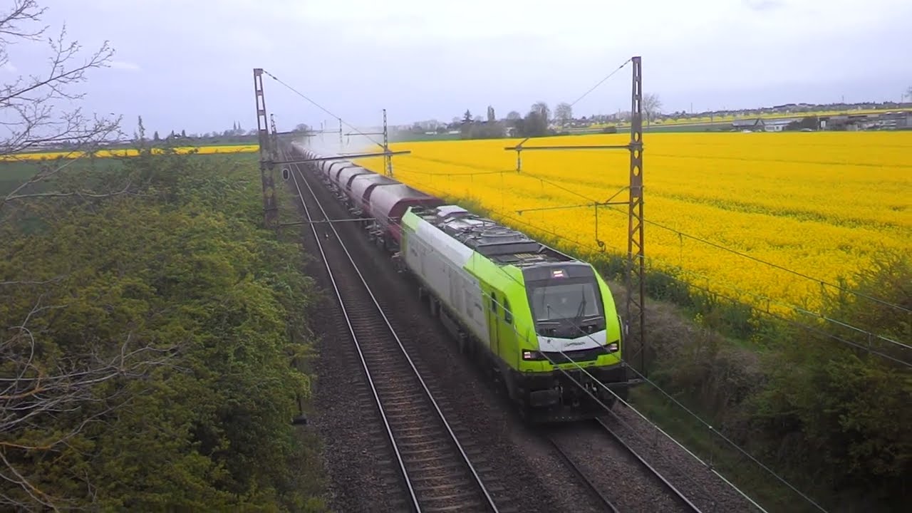 Ouigo - Captrain - Europorte - Euro 4000 -  Euro 4001 -  Marche W X 73500   ESV-702 Vigirail