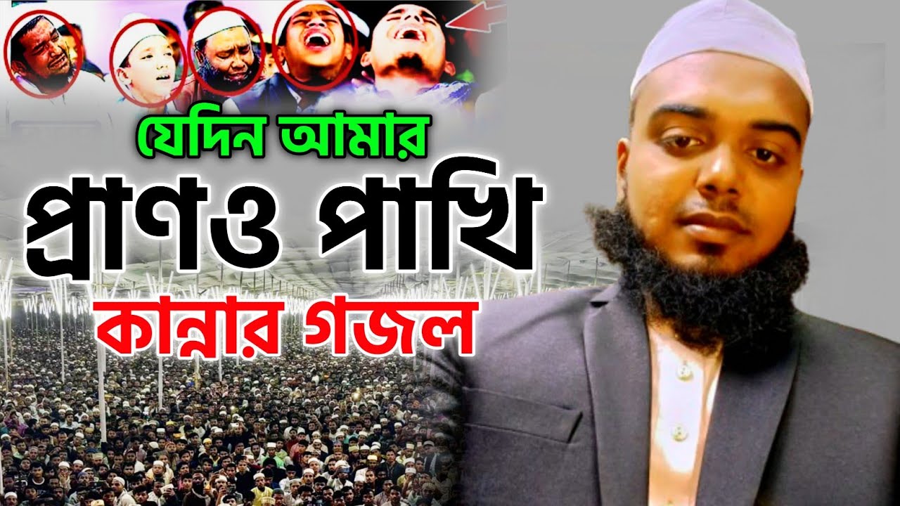 যেদিন আমার প্রাণও পাখি উপার দেশে দিবে পারি | সেরাজুল ইসলাম আফছারি | Bangla New Gojol 2025 all | 