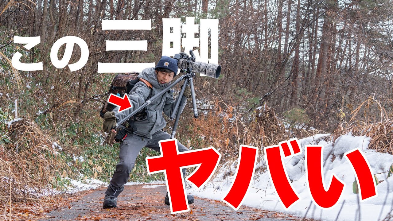 革命三脚！君は野鳥撮影でメイン張れるんか！？【YC Onion Tako T23】