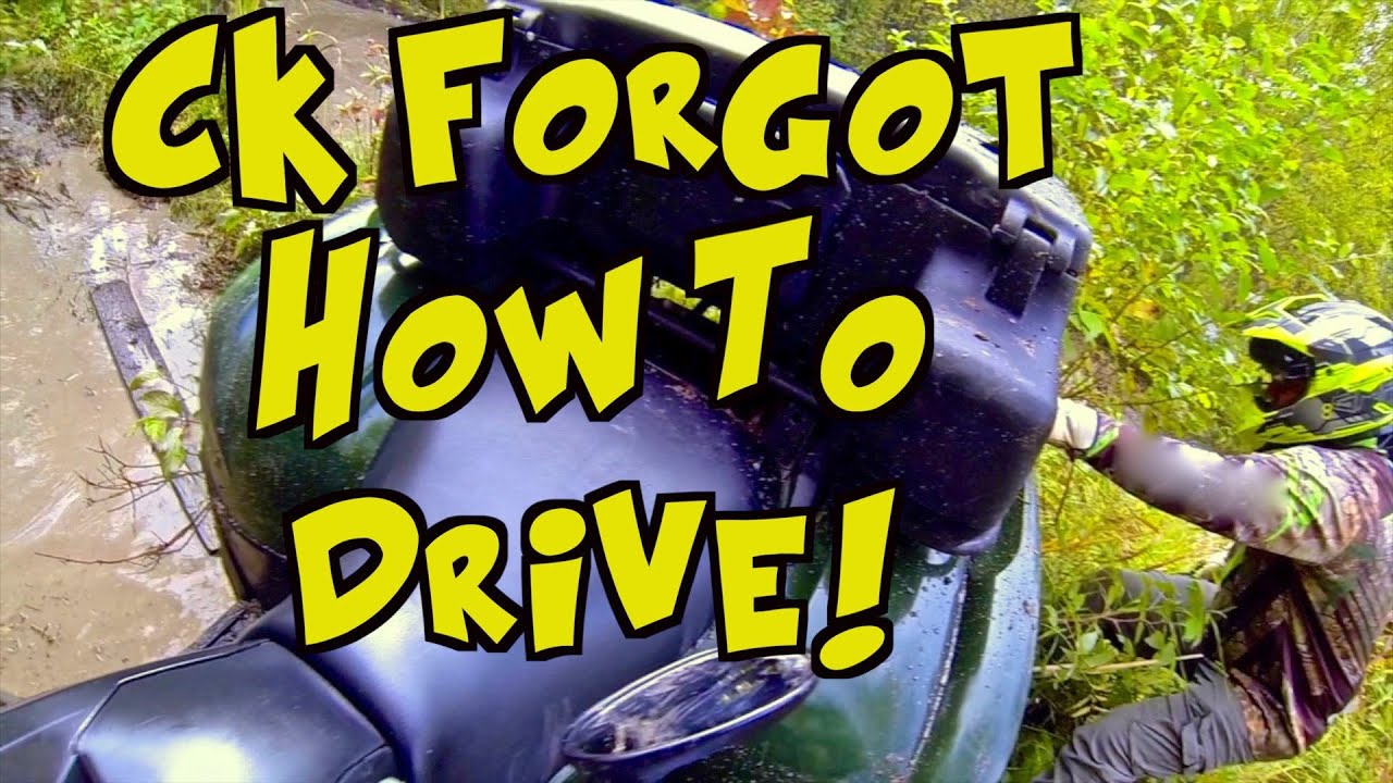 ATV Grizzly Goes Rogue & Wolves Block The Trail - Cubbee??? - Sept. 15, 2019