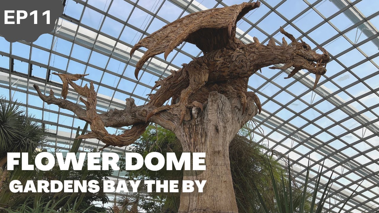 #ep11 FLOWER DOME em Singapore, lugar absurdo de lindo!! | VLOG