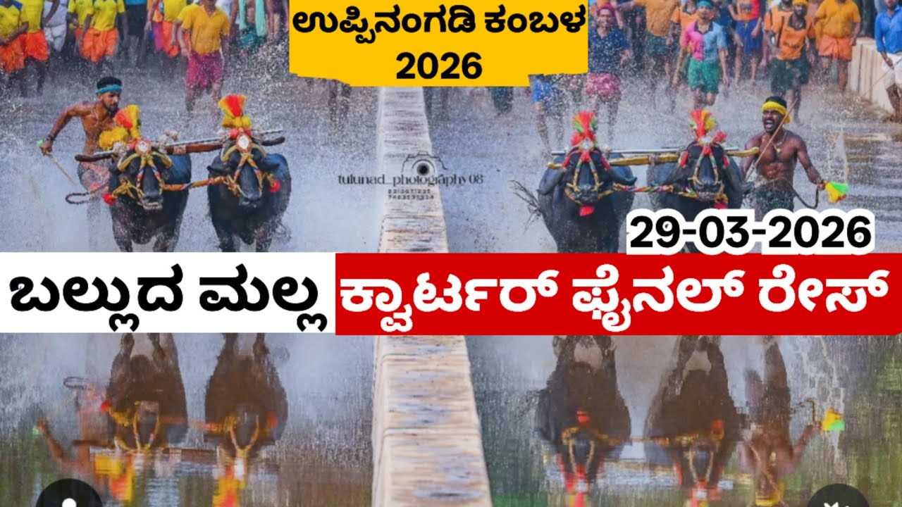 Balluda Malla Quarter Final Uppinangady Vijaya Vikrama Jodukare Kambala 2026