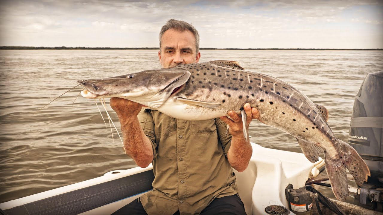 LA MERVEILLE DU FLEUVE PARANÁ - Cyril Chauquet