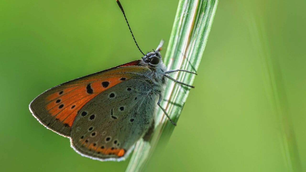 Erneuere dein Denken und lebe als neues Gottesbild - Epheser 4,23–24 - BibelMoment