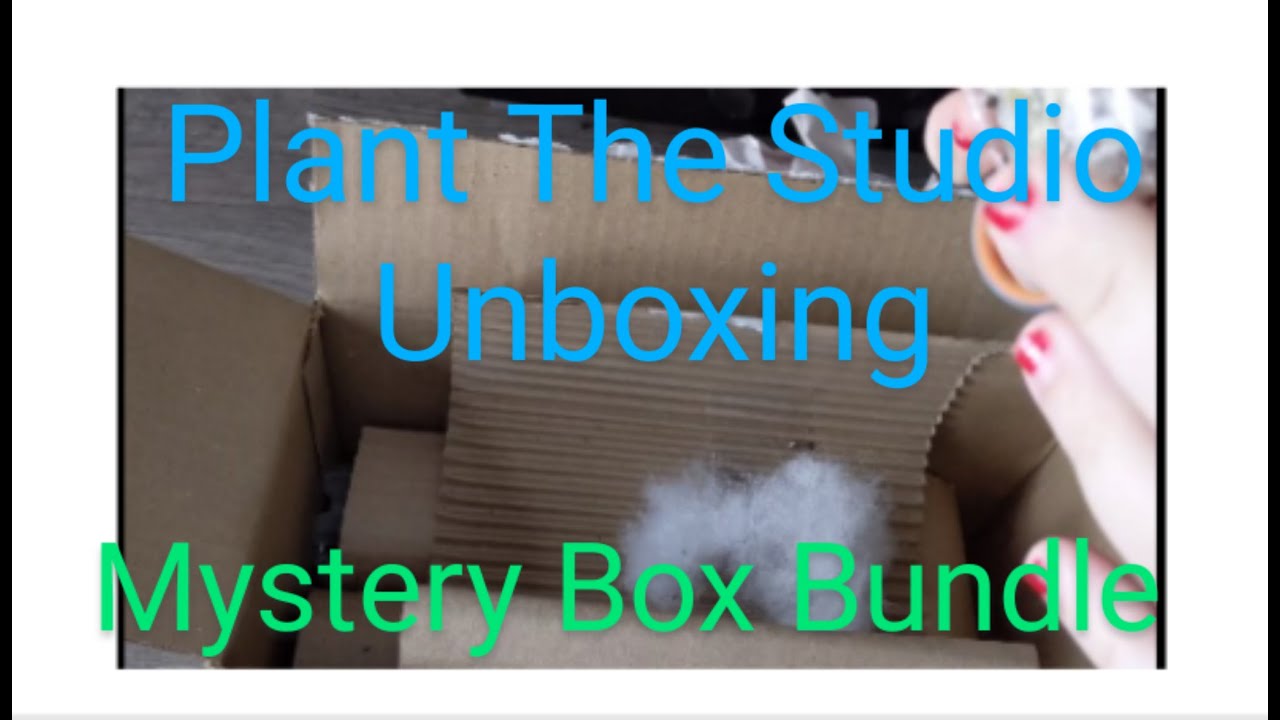 Plant The Studio Unboxing/Mystery Box Bundle