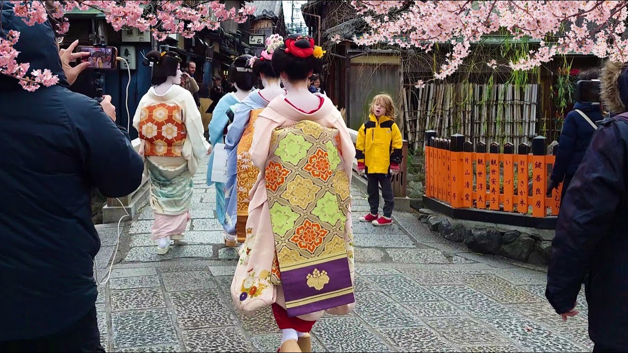 Geisha Walk in Gion Shirakawa of Kyoto | Sakura | 春の京都、祇園白川・巽橋の桜と外国人観光客と舞妓さん、海外の反応