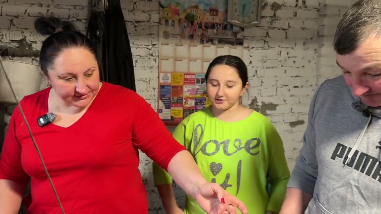 Grzybobranie zimą w Bronowie